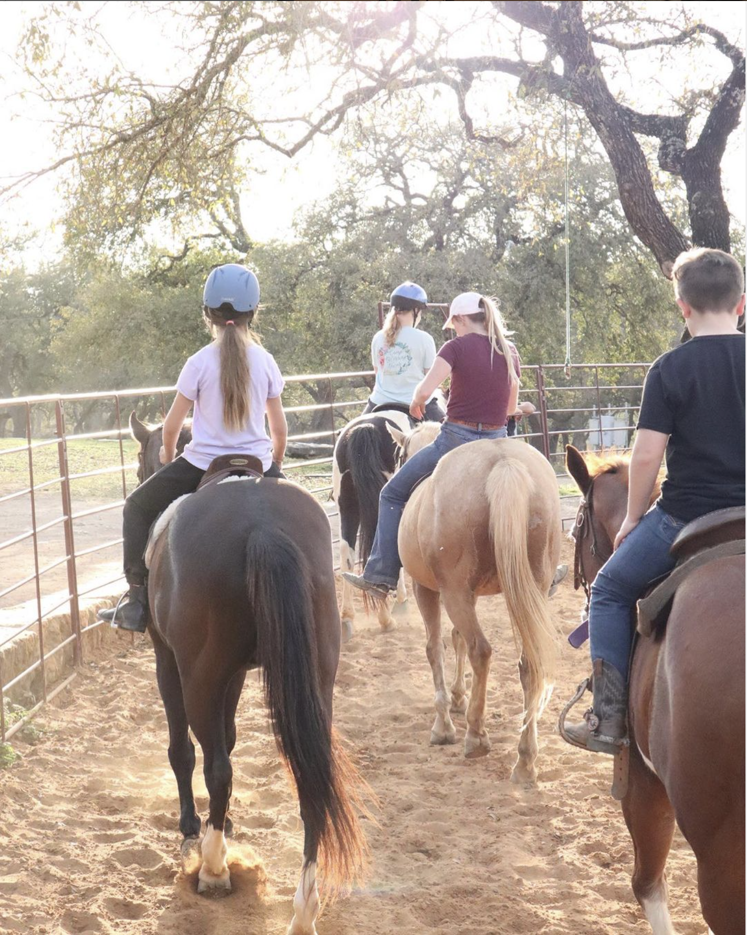 Lessons at Hollow Tree Ranch