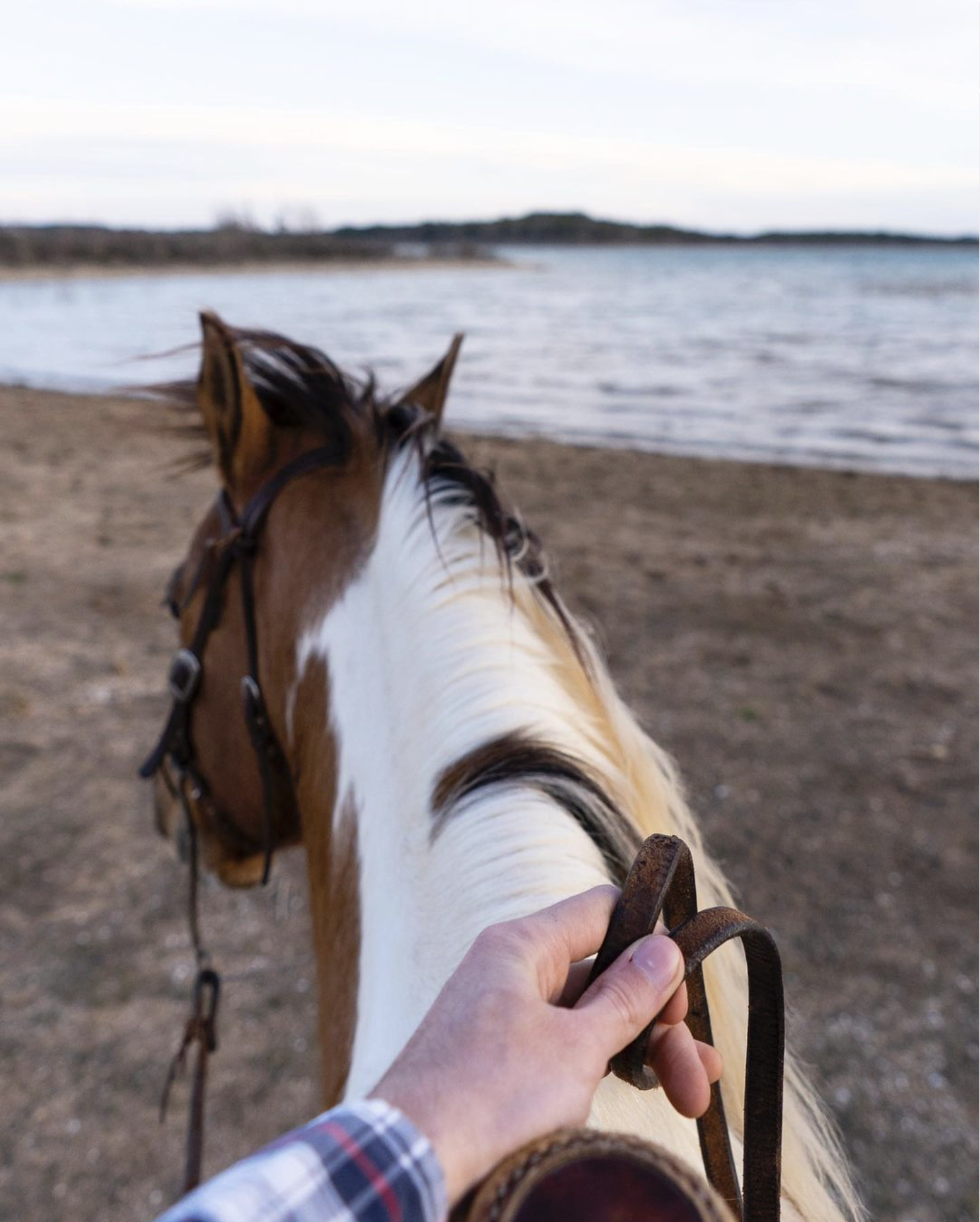 Trail Rides at Canyon Lake TX