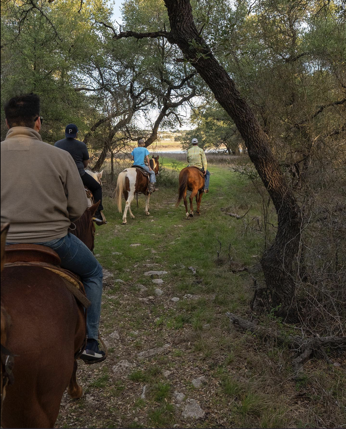 Trail Rides and Horse Riding at Hollow Tree Ranch