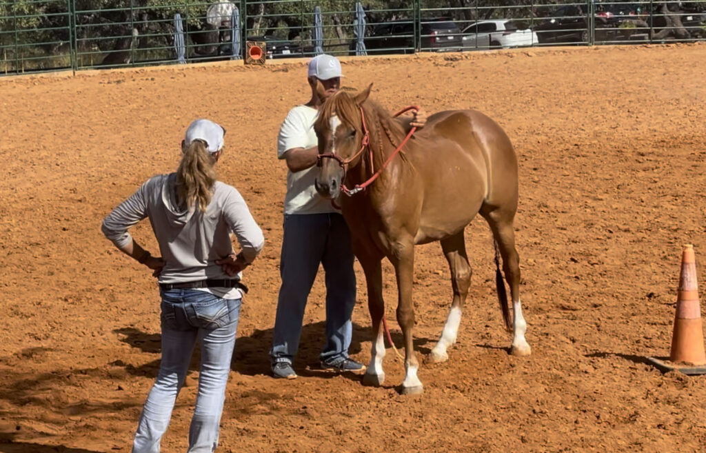 private-lessons-horseback-riding