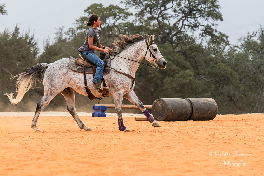 Horse Riding in New Braunfels TX - Hollow Tree Ranch